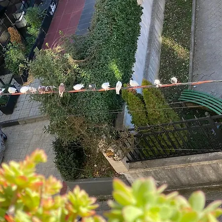 Apartmán Downtown Central 2 Bedroom Ac Wifi
